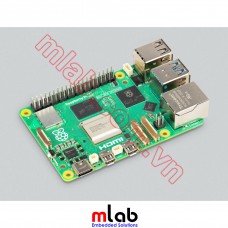 Raspberry Pi 5